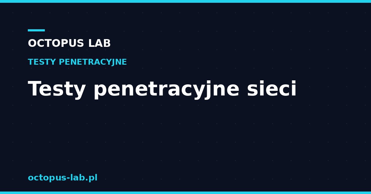 Testy penetracyjne sieci — co obejmują, rodzaje i jak przebiegają
