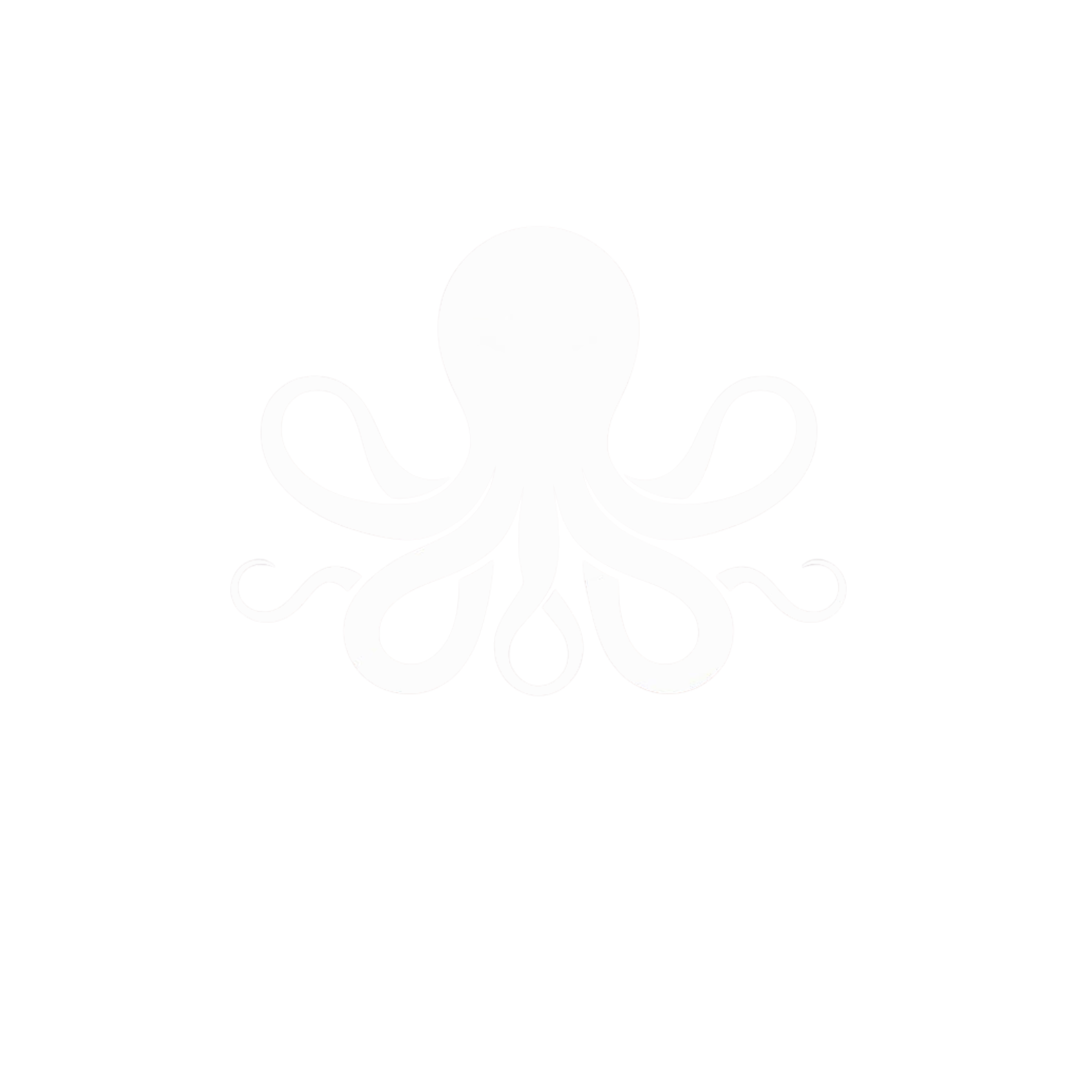 Octopus Lab – cyberbezpieczeństwo i audyty IT Gdańsk